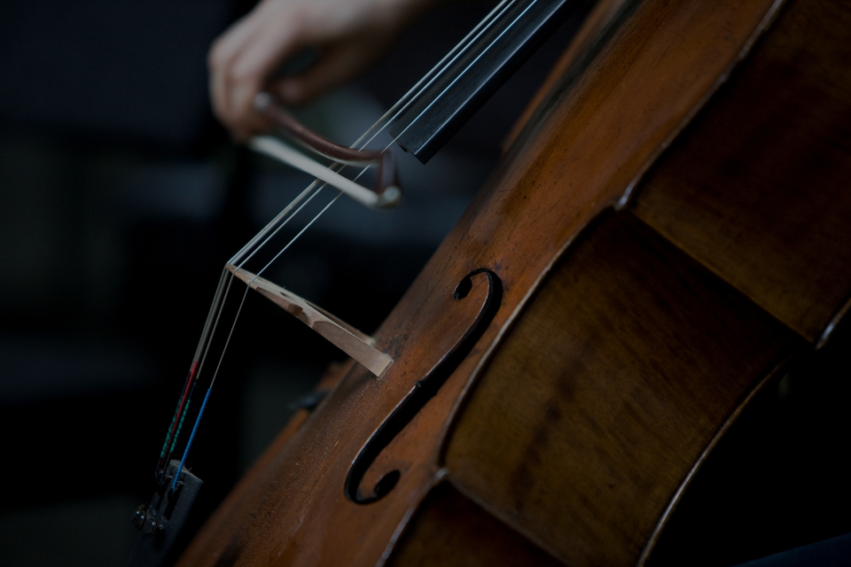 Closeup photograph of a cellist's bow across the strings of their instrument